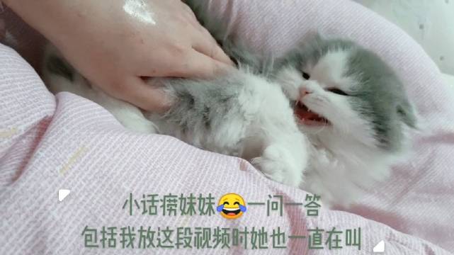 给她改名叫磨人精了 比小仙女更恰当一些...